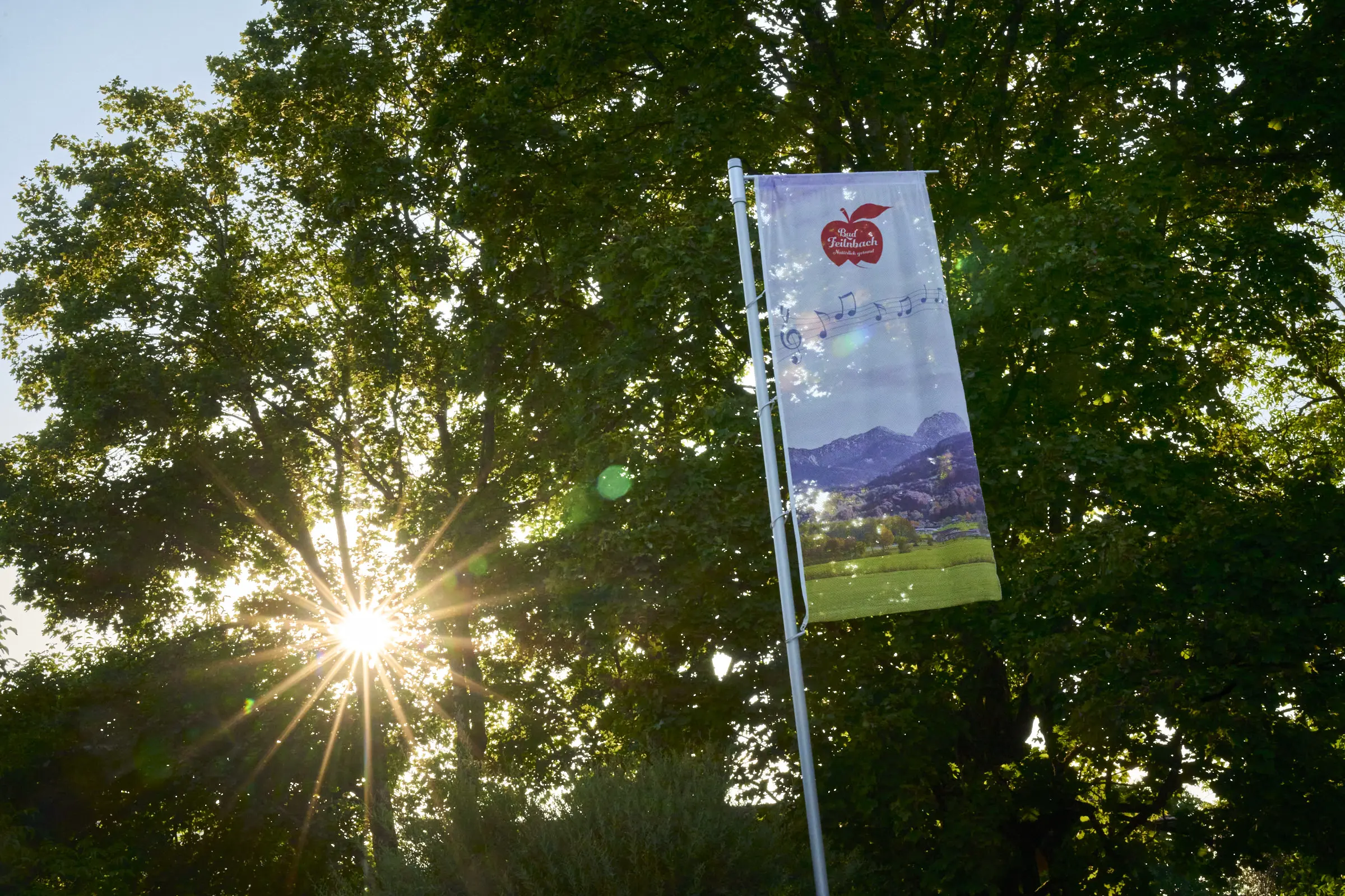 Flagge mit Bergmotiv und Sonne im Baum. Hof Tradition.